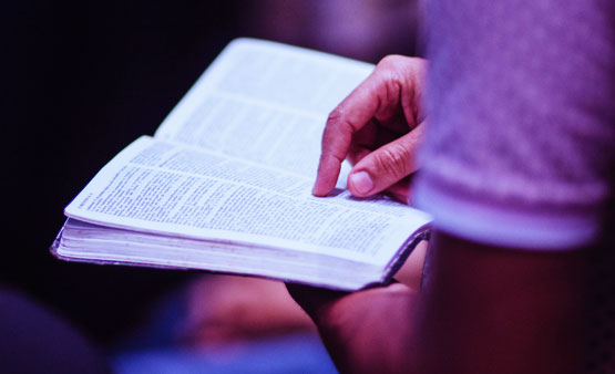 person reading bible